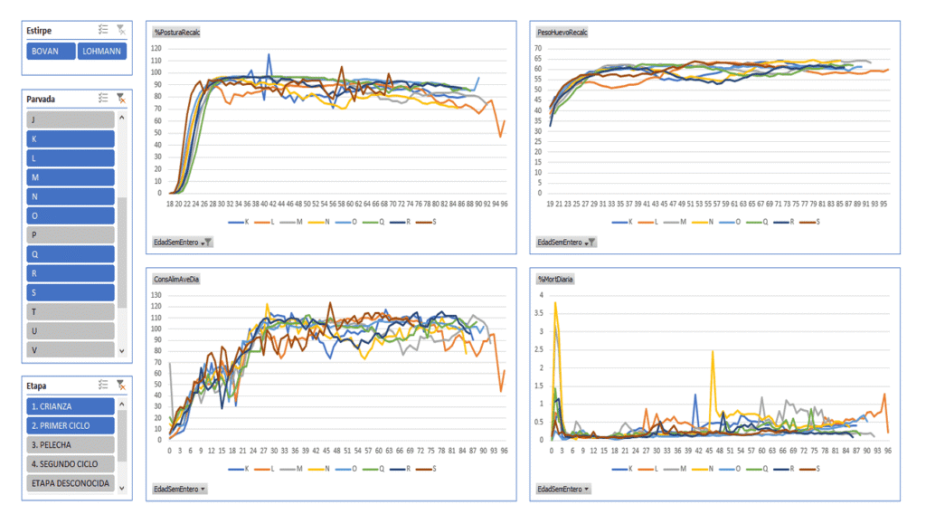Proyecto - Monitoreo de indicadores de producción