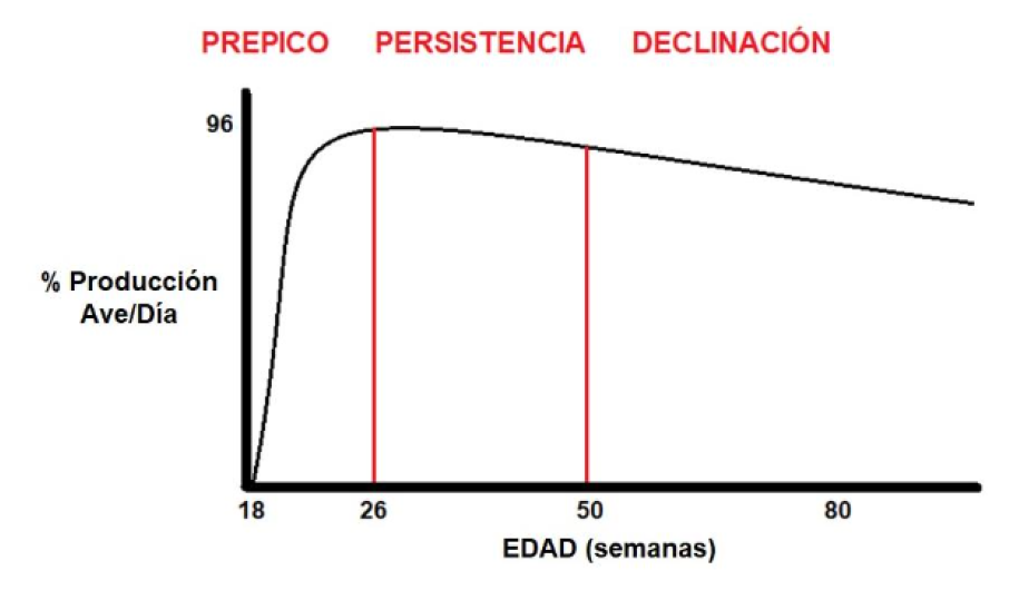 Curva de postura de gallinas ponedoras dividida en prepico, persistencia y declinación